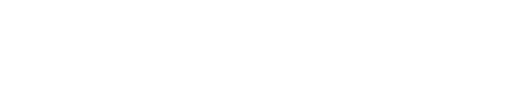 Logo interwins blanco con descriptor